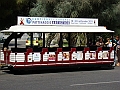 Trenino (21)